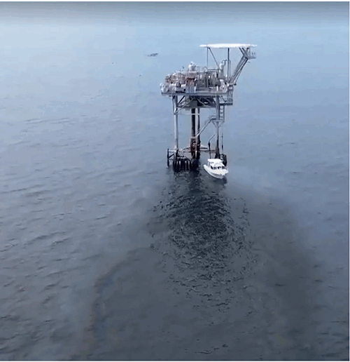 plug & restorations plug & restoration