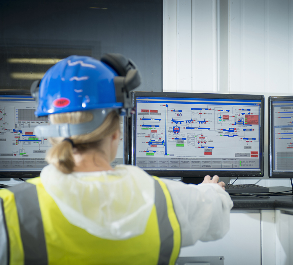 Production & Optimization