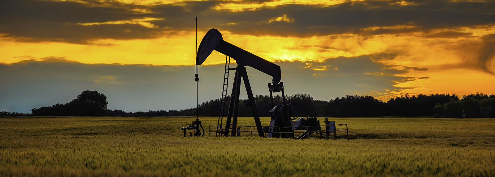 Conventional Asset Management